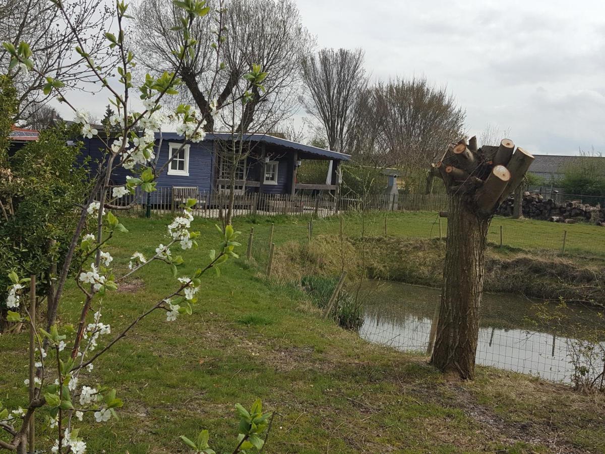 Villa De Weide Blick Biggekerke Exterior foto